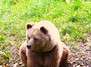 Tiere fotografieren im Wildpark Poing
