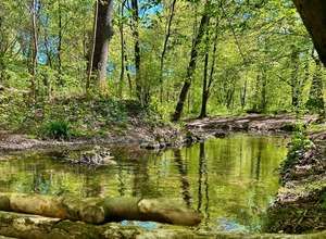 Flusswanderung an und in der Würm