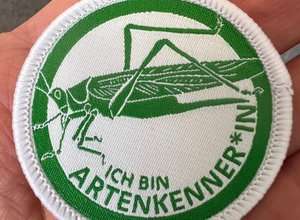 Ferienaktion: Mach dein Heupferdchen!