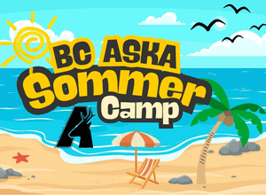 Basketballcamp in den Sommerferien vom BC ASKA