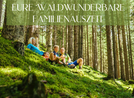Erlebt mit Waldwunderbar die Magie des Waldbaden!