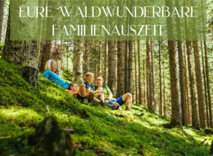 Erlebt mit Waldwunderbar die Magie des Waldbaden!