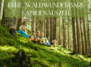 Erlebt mit Waldwunderbar die Magie des Waldbaden!