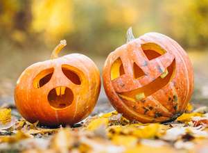 Halloween-Aktion
