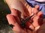  Gluexxkind - Sommerferiencamp - Selbstwerttraining im Wald