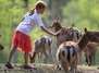 Unvergessliche Ferien im Wildpark Lüneburger Heide