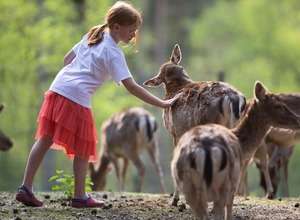Unvergessliche Ferien im Wildpark Lüneburger Heide