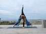 Schwangerenyoga und geburtsvorbereitendes Beckenbodentraining