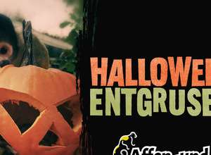 Halloween entgruselt im Affen- und Vogelpark Eckenhagen