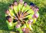 Sport- und Spielecamp in Nackenheim (Herbst 2027)
