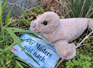 Kuscheltier-Übernachtung und Abholung der Kuscheltiere
