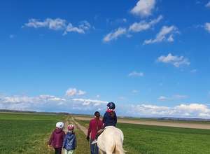 Outdoor Reitpädagogik Rätselreiter