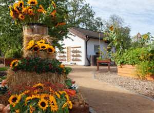 Großes Erntedankfest an der Naturschutzstation Hahneberg