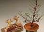 Verschollen zwischen Zimt und Stollen – Susi Claus & Martin 
