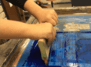 Experimenteller Siebdruck auf Papier (Mittwoch, 16:00–18:00 