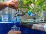 Workshop: Trinkwasser - Der Wasserkreislauf und lecker Leitungswasser