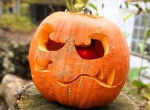 HALLOWEEN-SPECIAL IM HAUS NATUR UND UMWELT