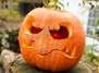 HALLOWEEN-SPECIAL IM HAUS NATUR UND UMWELT