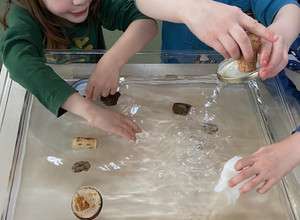 Umweltnachmittag: Wasser-Experimentierstation