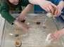 Umweltnachmittag: Wasser-Experimentierstation