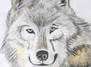 Monster, Masken, Mangas, Mondenschein – magisch gut gemalt !