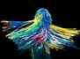 The Sticky Dance | Festival FRATZ International