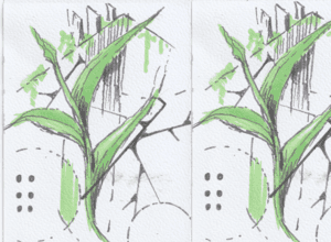 Der winterfeste Garten - Workshop im HofGarten