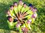 Spiele- und Sportcamp in Leopoldshafen (Sommer 2027)