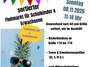 ♡ Sortierter Kaufhausflohmarkt ♡