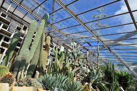 Tropengewächshäuser des Botanischen Gartens der Universität Hamburg