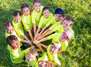 Spiele- und Sportcamp in Eisenberg (Sommer 2027)