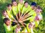 Spiele- und Sportcamp in Berlin (Sommer 2027)