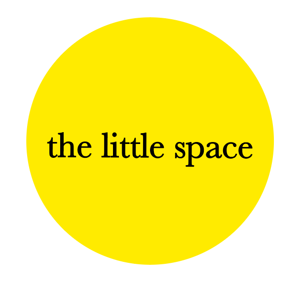 logo thelittlespace